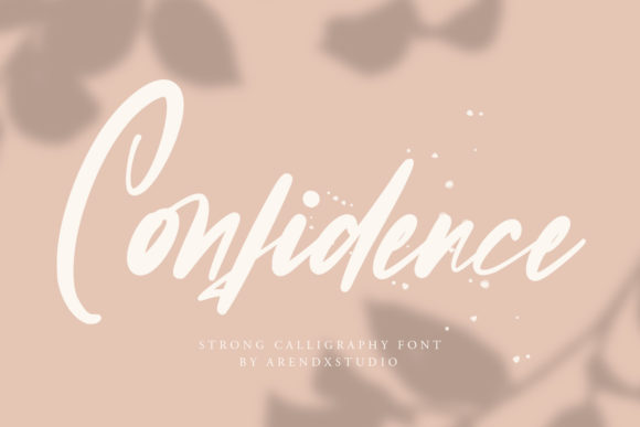 Confidence Font: A Bold Script for Designers
