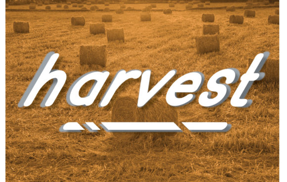 Harvest: A Versatile Italic Sans Serif Font for Creative Projects