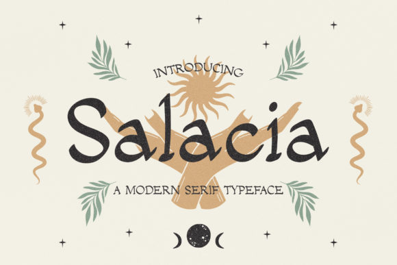Salacia: A Modern Serif Font for Digital Branding