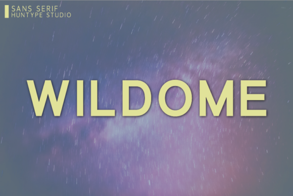 Wildome: A Versatile Sans Serif Font for Modern Editorial Design