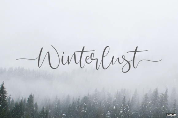 Winterlust: A Timeless Handwritten Font for Business Branding